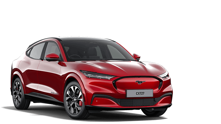 5 mustang mache e