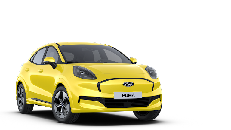58 puma gen e